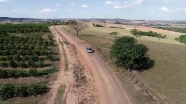 Kırsal kesimdeki tarım arazisinin havadan manzarası. Yeşil arkaplan ve alan sahnesi.