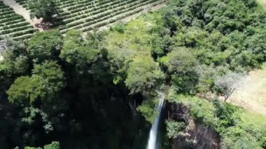 Kırsal kesimdeki tarım arazisinin havadan manzarası. Yeşil arkaplan ve alan sahnesi.
