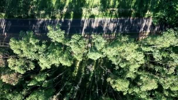 Krajobraz Krajobrazu Rolniczego Wsi Zielone Tło Scena Terenowa — Wideo stockowe