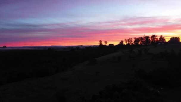 Захід Сонця Повітряні Пейзажі Сільського Господарства Ландшафту Сільській Місцевості Зелений — стокове відео