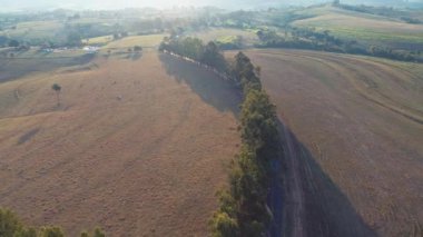 Kırsal kesimdeki tarım arazisinin havadan manzarası. Yeşil arkaplan ve alan sahnesi.