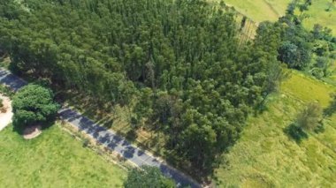 Kırsal kesimdeki tarım arazisinin havadan manzarası. Yeşil arkaplan ve alan sahnesi.