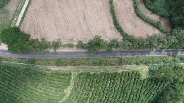Aerial Scenery Farming Landscape Rural Countryside Green Background Field Scene — Video Stock