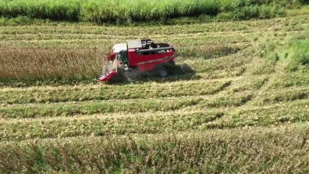 田舎でトラクターの風景を収穫の空中風景 農業分野での収穫の背景 — ストック動画