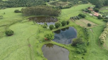Kırsal kesimdeki tarım arazisinin havadan manzarası. Yeşil arkaplan ve alan sahnesi.