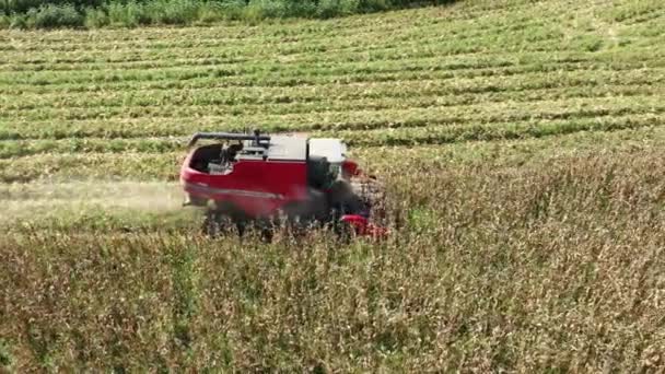 Paisaje Aéreo Cosecha Del Paisaje Tractor Campo Rural Fondo Cosecha — Vídeo de stock