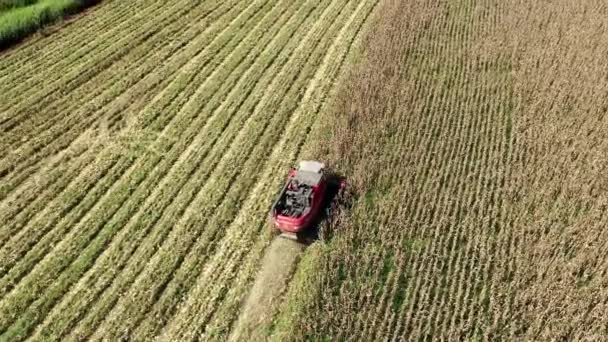 Luchtfoto Landschap Van Het Oogsten Tractor Landschap Het Platteland Oogstachtergrond — Stockvideo