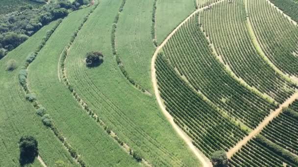 Luchtlandschap Van Het Landbouwlandschap Het Platteland Groene Achtergrond Veld Scène — Stockvideo