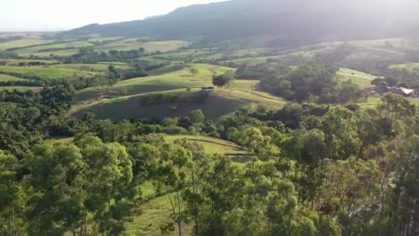 Pôr Sol Paisagem Agrícola Cenário Rural Rural Floresta Verde Árvores — Vídeo de Stock