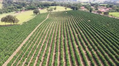 Kırsal kesimde tarım arazisi. Kırsal kesimde. Valley dağlarında yeşil alan arka planı.