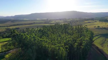 Kırsal kesimde çiftçilik yaparken gün batımı. Dağlar arasında yeşil orman ağaçları.