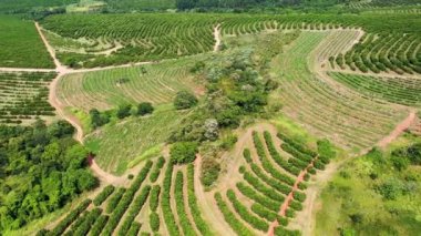 Kırsal kesimde tarım arazisi. Kırsal kesimde. Valley dağlarında yeşil alan arka planı.