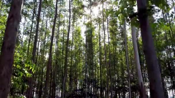 Zachód Słońca Krajobrazie Rolniczym Wsi Zielone Drzewa Leśne Między Górami — Wideo stockowe