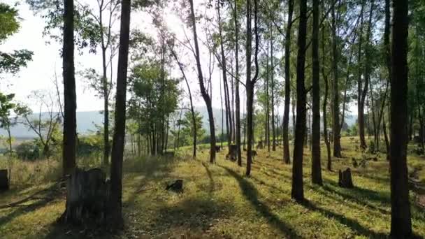 Закат Сельском Хозяйстве Сельских Пейзажах Зеленые Леса Между Горами — стоковое видео