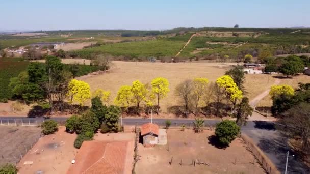Jalan Pedesaan Dekat Lanskap Pertanian Daerah Pedesaan Pinggiran Kota Jalan — Stok Video
