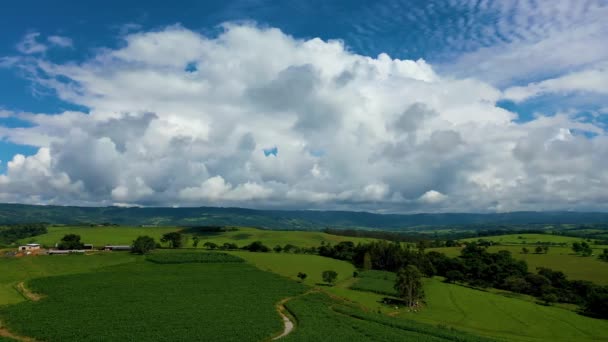 田舎の田園風景での農業風景 谷の山の緑のフィールドの背景 — ストック動画