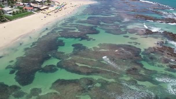 Porto Galinhas Beach Brésil Scène Voyage Paysage Plage Été Environnement — Video