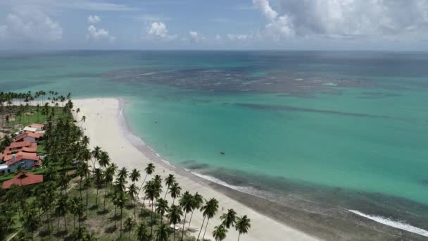 Tropikal Manzaradaki Efsanevi Sahil Seyahatleri Karayip Plajı Sahil Koyu Suyu — Stok video