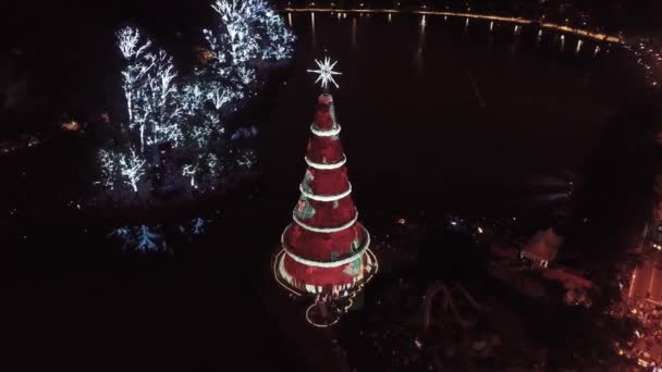 Освітлення Різдвяного Дерева Міській Сцені Життя Святковий Пейзаж Christimas Tree — стокове відео