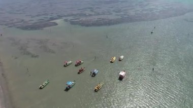 Porto de Galinhas Plajı Brezilya. Yaz plajı manzarasının seyahat sahnesi. Açık hava tropikal ortamı. Tatil seyahati. Rahatlama manzarası.