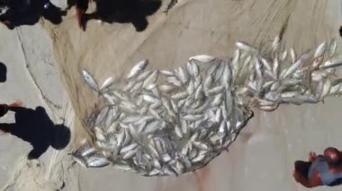 Rio de Janeiro Brezilya 'nın Göl Bölgesi' ndeki Arraial do Cabo sahil şehrinde ünlü zanaatkar balıkçılığı. Brezilya Karayipleri. Tropik seyahat yerleri. Yaz manzarası.