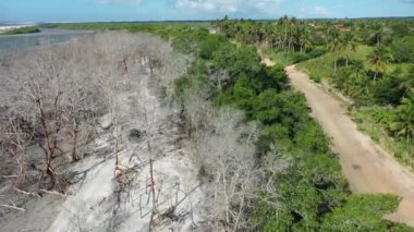 Jericoacoara Ceara Brezilya 'nın panorama hava manzarası. Ünlü seyahat noktasında manzaralı kumullar. Mavi gökyüzü ve çöl kumulları.