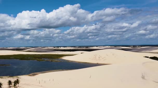 Panorama Air View Jericoacoara Ceara Brazil Англійською Сценічні Літні Дюни — стокове відео