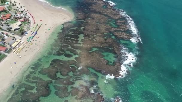 Brazilia Porto Galinhas Beach Destinaţie Călătorie Brazilia Scena Plajă Peisajului — Videoclip de stoc