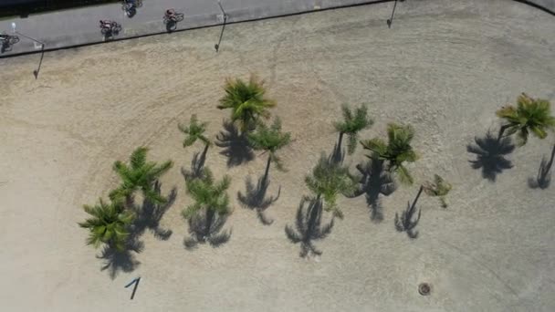 Panorámica Amplia Ciudad Costera Santos Sao Paulo Brasil Paisaje Aéreo — Vídeo de stock