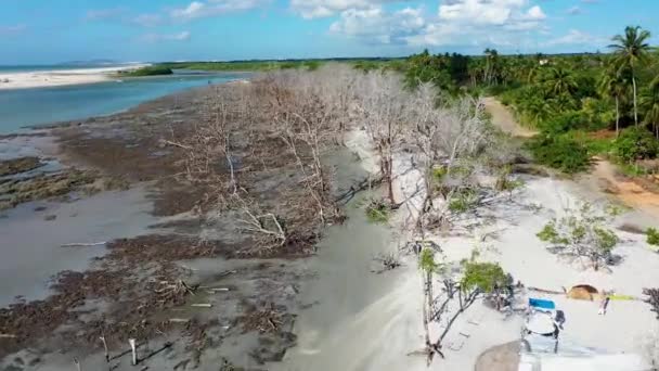 Jericoacoara Ceara Brasilien Flygfoto Landskap Tropisk Strand Landskap För Semester — Stockvideo