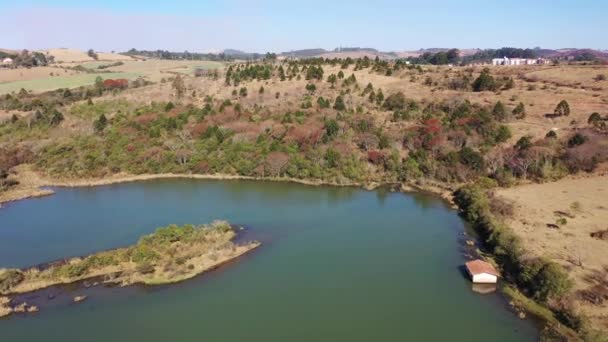 Pocos Caldas Minas Gerais Brasilien Malerischer See Mit Trockenen Waldbäumen — Stockvideo