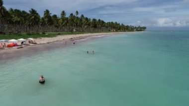 Sahil Koyu Suyu, Brezilya 'nın kuzeydoğusundaki ünlü seyahat noktasında. Tropikal manzarada ünlü sahil gezileri yerleri. Karayip Sahili.