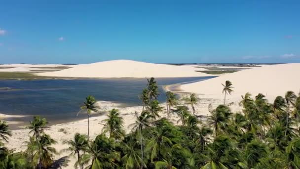Jericoacara Cear Brazilのパノラマ航空ビュー 有名な旅行先での風光明媚な夏の砂丘ビーチ 青空と砂漠の砂丘 — ストック動画