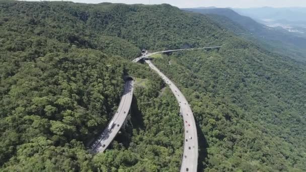 Panorámica Amplia Carretera Referencia Los Árboles Del Bosque Verde Las — Vídeos de Stock