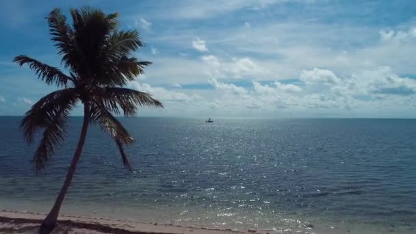 Panorama Paisagem Ilhas Deslumbrantes Arquipélago Florida Keys Florida Estados Unidos — Vídeo de Stock