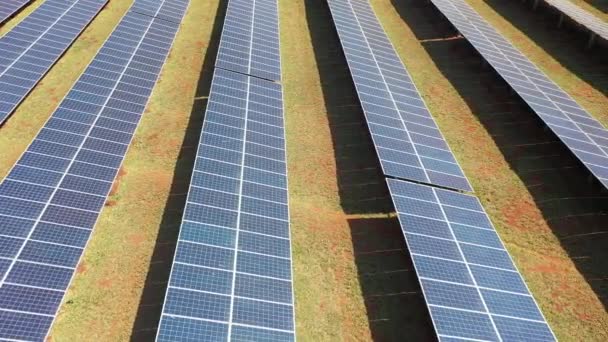 Granja Paneles Solares Fotovoltaicos Generación Energía Verde Campo Paneles Solares — Vídeos de Stock