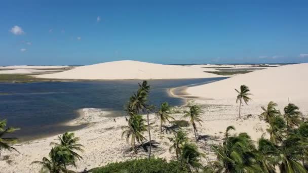 Jericoacoara Ceara Brasil Paisaje Aéreo Paisajes Playa Tropical Para Destino — Vídeos de Stock