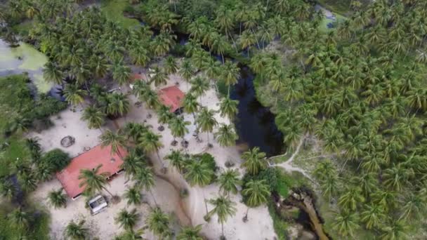 Jericoacara Cearブラジル 海のブラジルの状態での休暇旅行先のための熱帯ビーチの風景の空中風景 旅行先のランドマーク — ストック動画
