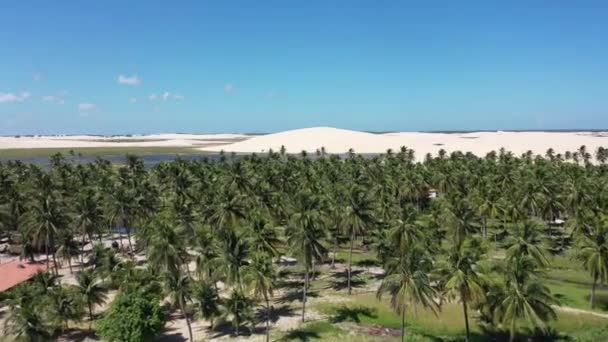 Jericoacoara Ceara Brazil Повітряний Ландшафт Тропічних Пляжів Місця Відпочинку Бразильському — стокове відео