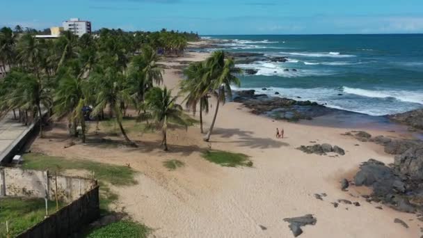 Destinos Viagens Tropicais Nordeste Brasileiro Salvador Bahia Brasil Destino Viagem — Vídeo de Stock
