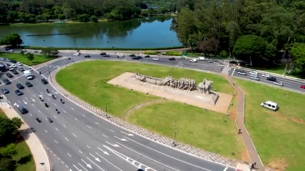 Ibirapuera Park Der Innenstadt Von Sao Paulo Brasilien Atemberaubende Landschaft — Stockvideo