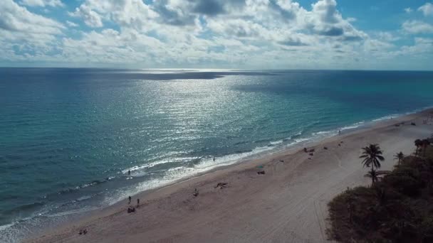 マイアミの有名な沿岸都市での平和的な風景の空中風景米国 旅行先 熱帯の風景 休暇旅行 — ストック動画