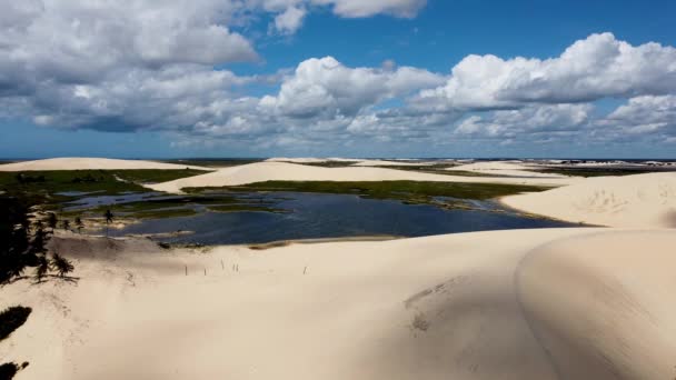 Jericoacara Cearブラジル 海のブラジルの状態での休暇旅行先のための熱帯ビーチの風景の空中風景 旅行先のランドマーク — ストック動画