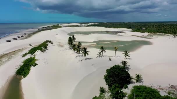 Jericoacoara Ceara Brasilien Luftaufnahmen Tropischer Strände Als Urlaubsziel Brasilianischen Bundesstaat — Stockvideo