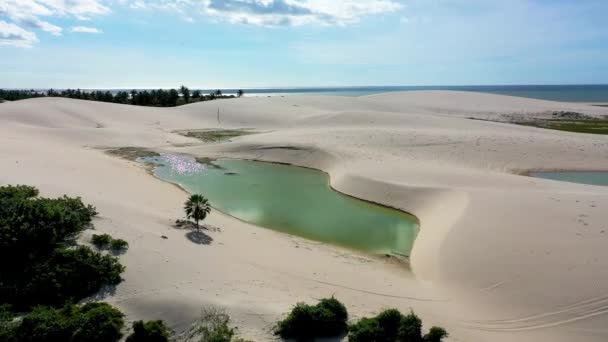 Jericoacoara Ceara Brazil Aerial Landscape Tropical Beach Scenery Vacation Travel — Stock Video