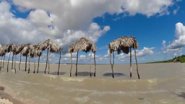 Praia Timelapse Cenário Tropical Destinos Viagem Verão Jericoacoara Ceará Brasil — Vídeo de Stock