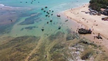 Brezilya 'nın kuzeydoğusunda tropik seyahat yerleri. Salvador Bahia Brezilya. Tropik seyahat rotası. Ünlü küresel seyahat merkezleri.