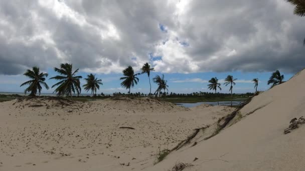Spiaggia Timelapse Paesaggio Tropicale Destinazioni Viaggio Estive Gerico Acoara Ceara — Video Stock