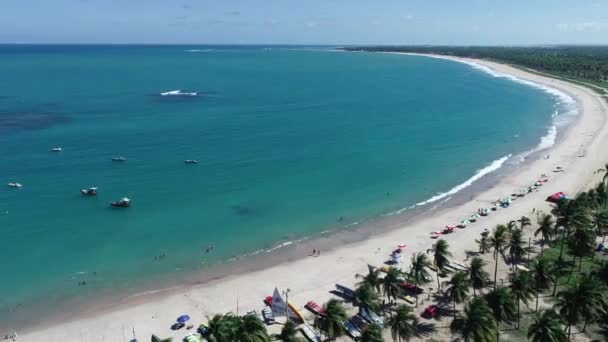 Spiaggia Porto Galinhas Brasile Scena Viaggio Del Paesaggio Balneare Estivo — Video Stock