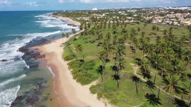 Tropické Destinace Brazilském Severovýchodě Salvador Bahia Brazil Tropická Destinace Slavné — Stock video